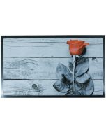 Πατάκι Εισόδου 45x75cm Rose SL8598 San Lorentzo 8598