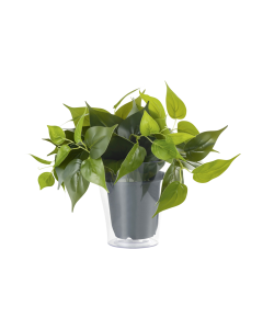 Τεχνητό Φυτό σε Γλάστρα 29xH31cm Πράσινο Trio Lighting Plant 92945
