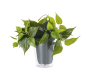 Τεχνητό Φυτό σε Γλάστρα 29xH31cm Πράσινο Trio Lighting Plant 92945