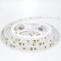 Ταινία Led IP20 24V 5m 12w 6500K 120lm/m Eurolamp Pro 145-70360