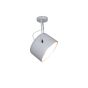 HL-3599-1S ARCHIE WHITE CEILING HOMELIGHTING 77-4230