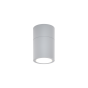 it-Lighting Chelan 1xGU10 Outdoor Ceiling Down Light Grey D:10.3cmx6cm 80300134